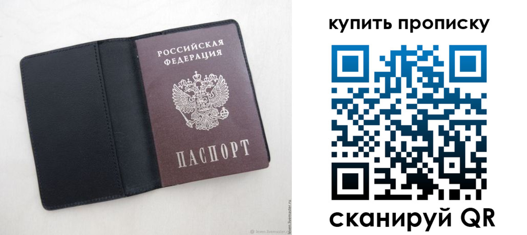 прописка поиск в Пугачёве